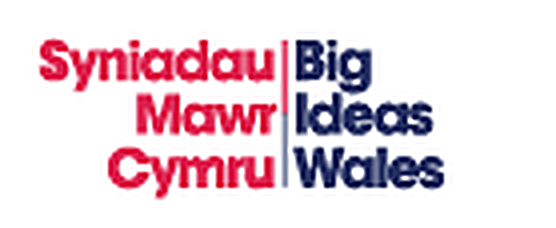 Big Ideas Wales role model